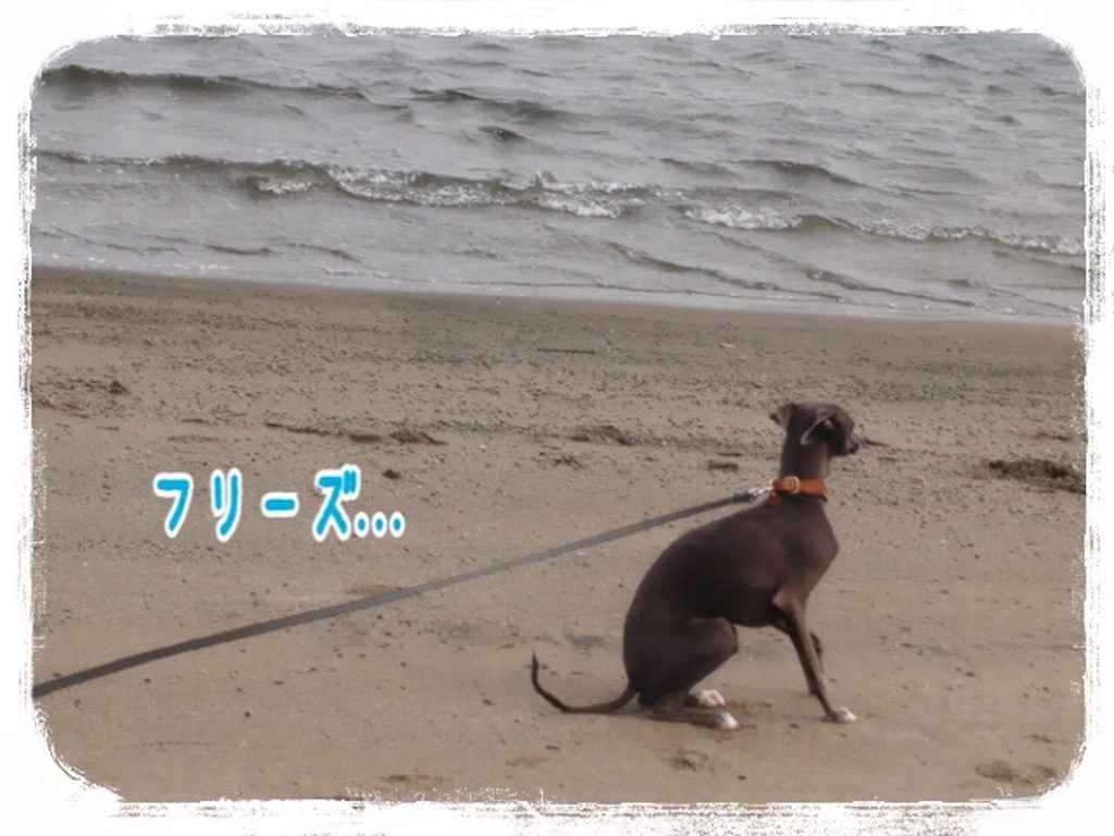 f:id:gino-ig:20160330230209j:image f:id:gino-ig:20160330230209j:image