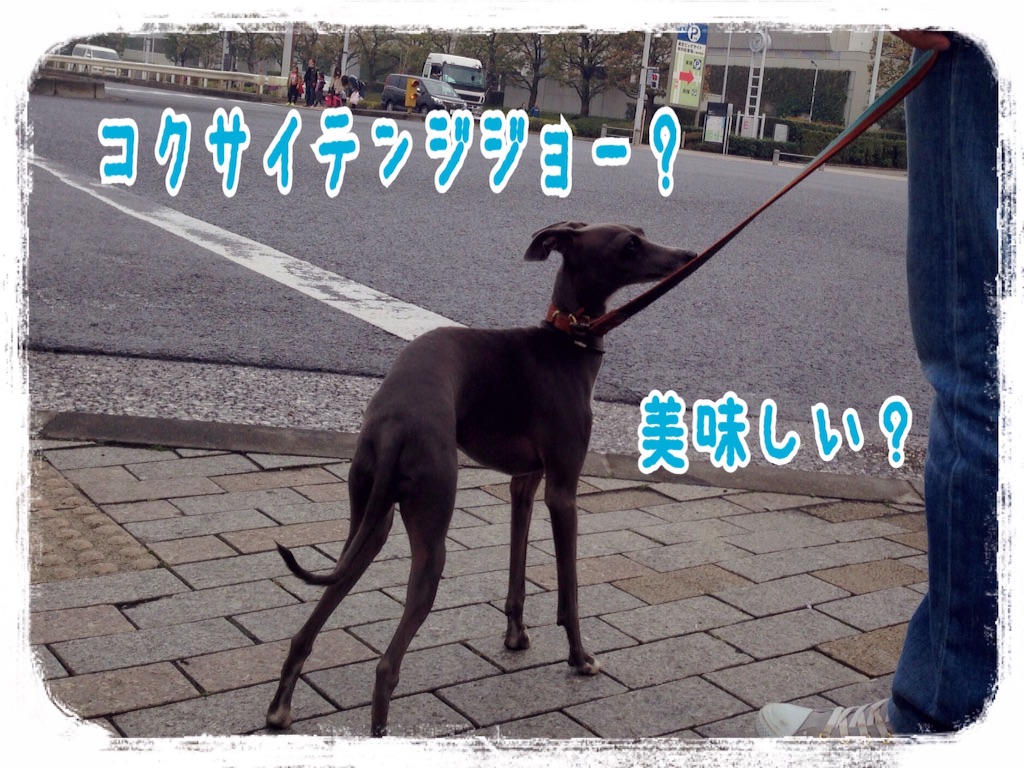 f:id:gino-ig:20160403225815j:image f:id:gino-ig:20160403225815j:image