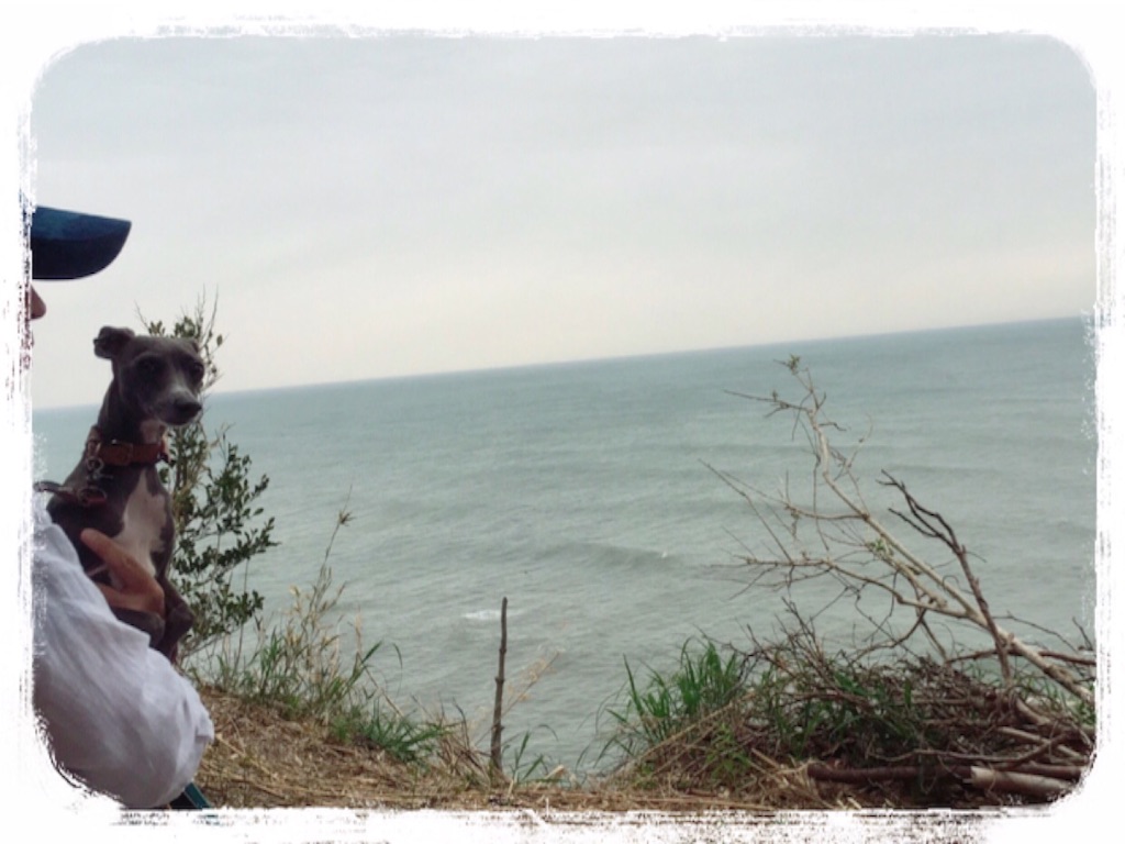 f:id:gino-ig:20160422212453j:image f:id:gino-ig:20160422212453j:image