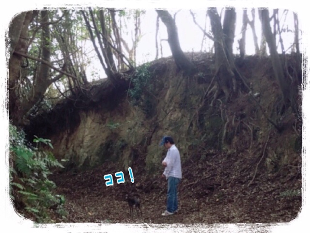 f:id:gino-ig:20160422213159j:image f:id:gino-ig:20160422213159j:image