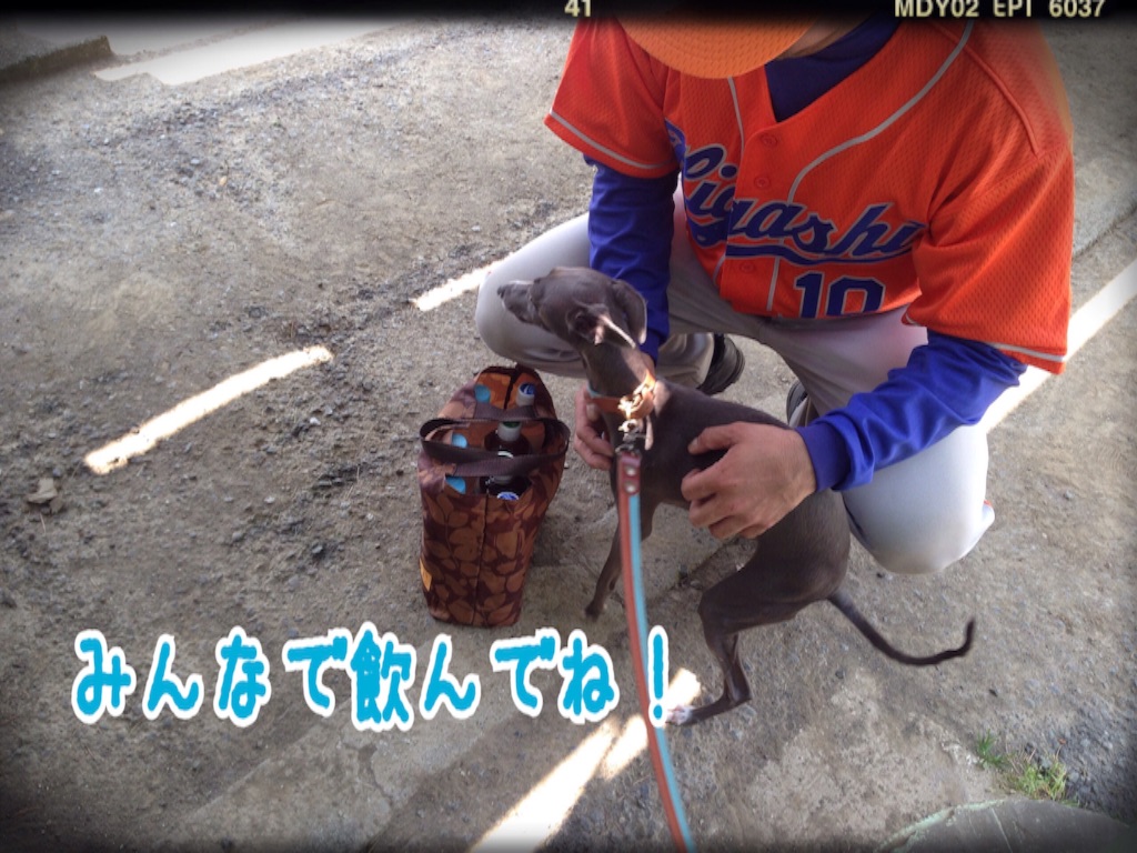 f:id:gino-ig:20160501212417j:image f:id:gino-ig:20160501212417j:image
