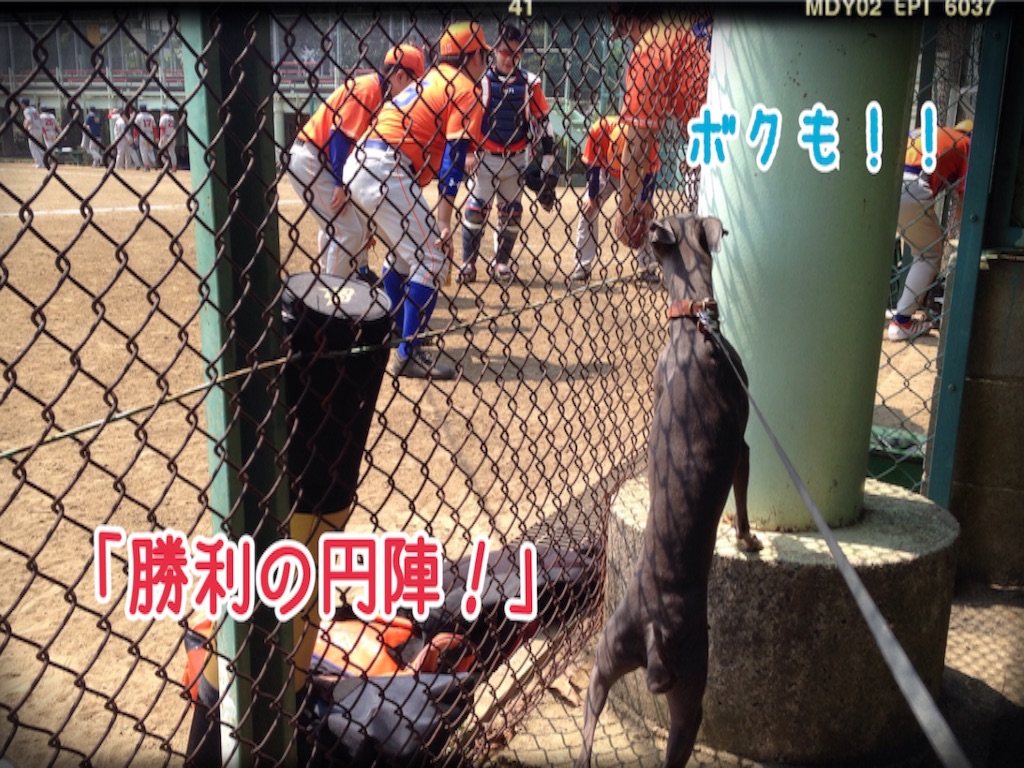 f:id:gino-ig:20160501213055j:image f:id:gino-ig:20160501213055j:image