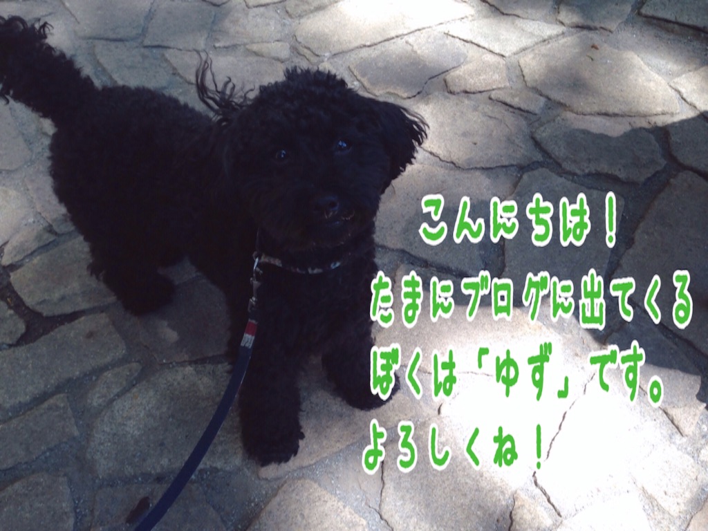 f:id:gino-ig:20160512225412j:image f:id:gino-ig:20160512225412j:image