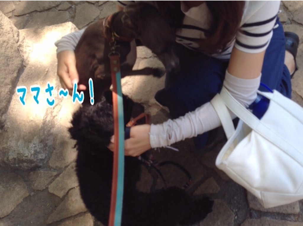 f:id:gino-ig:20160512225621j:image f:id:gino-ig:20160512225621j:image