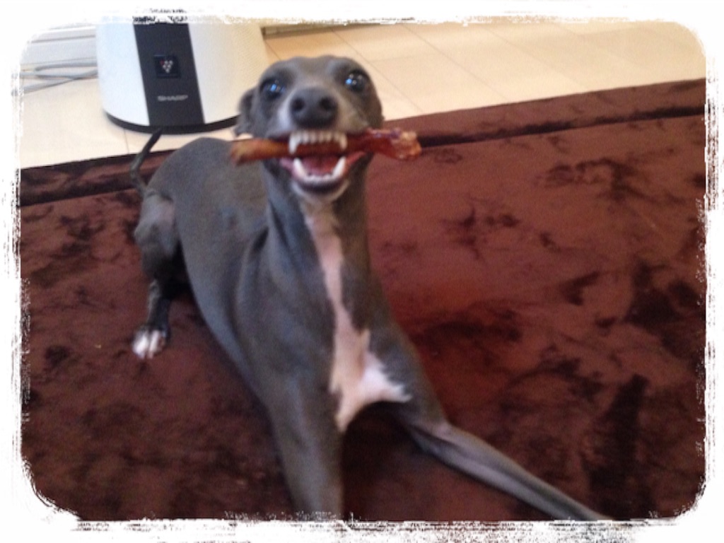 f:id:gino-ig:20160513232217j:image