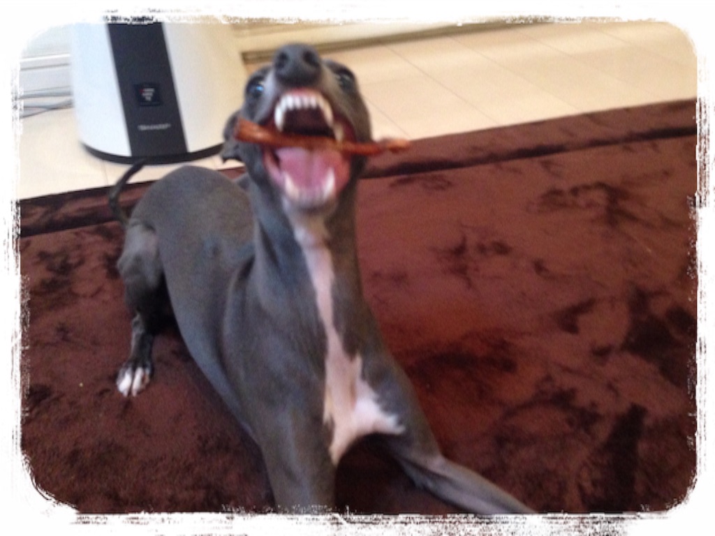 f:id:gino-ig:20160513232259j:image