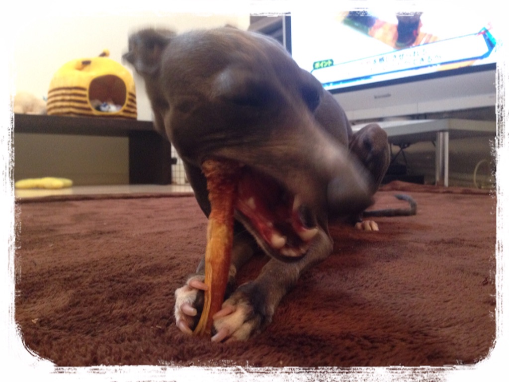 f:id:gino-ig:20160513232519j:image