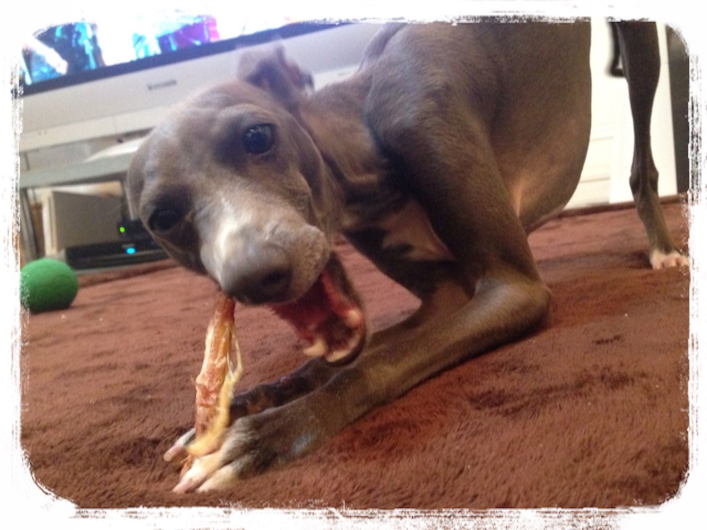 f:id:gino-ig:20160513232613j:image