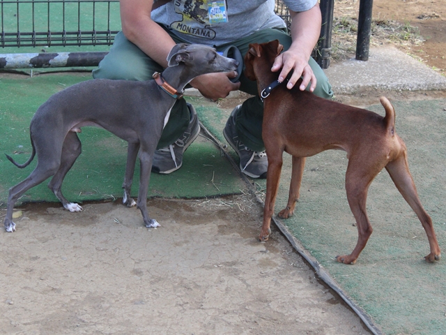 f:id:gino-ig:20160514231348j:plain