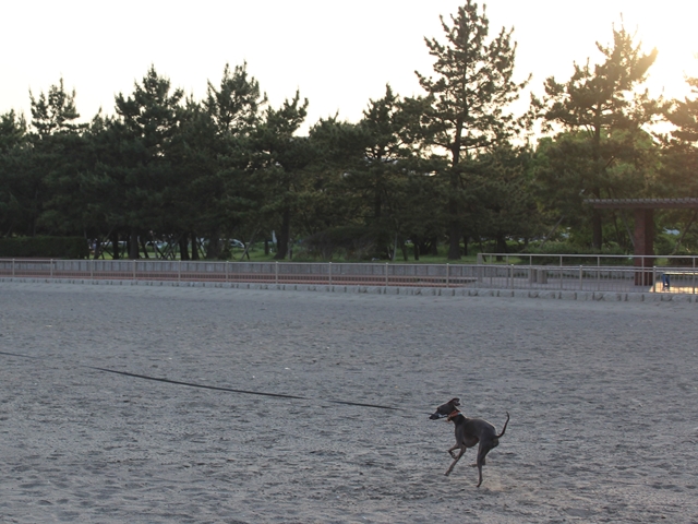 f:id:gino-ig:20160514233042j:plain