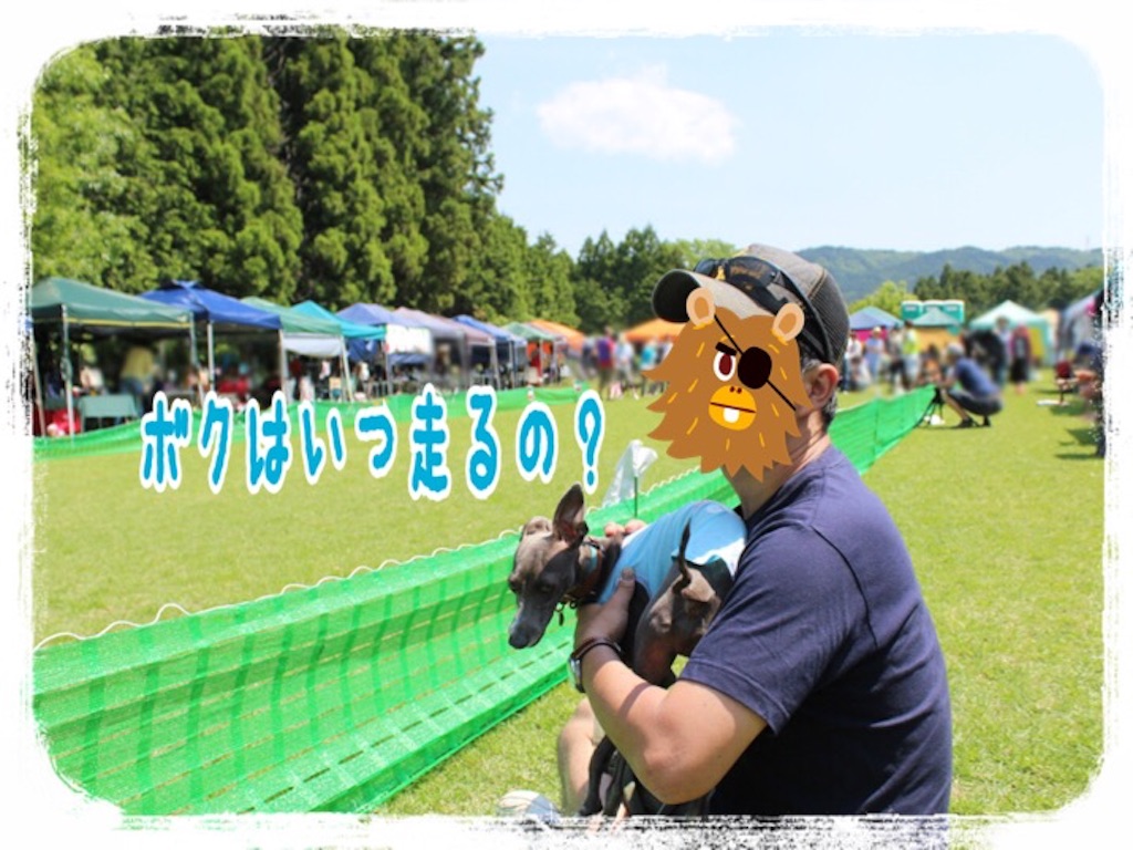 f:id:gino-ig:20160524000419j:image f:id:gino-ig:20160524000419j:image