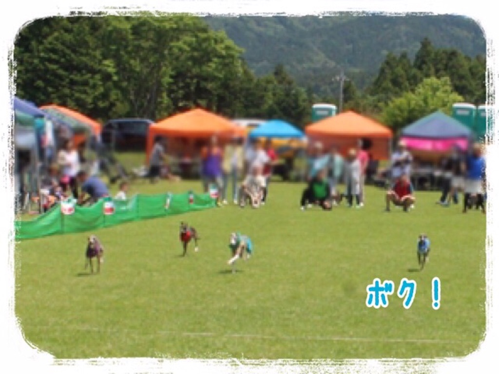 f:id:gino-ig:20160524001719j:image f:id:gino-ig:20160524001719j:image