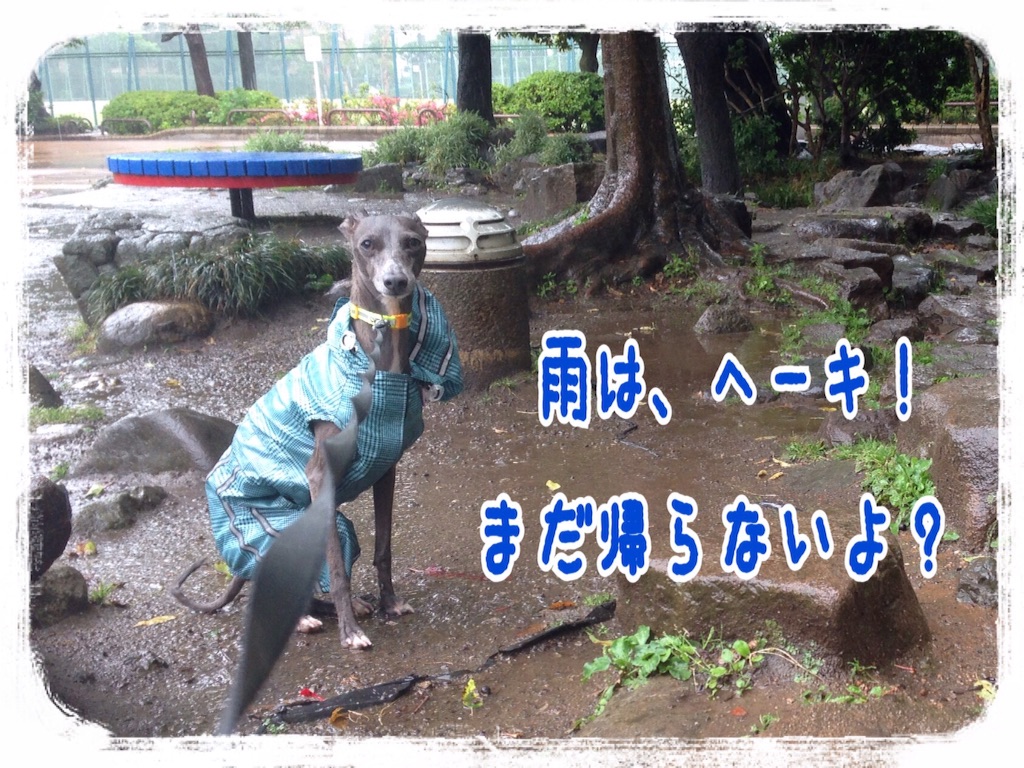 f:id:gino-ig:20160527223501j:image f:id:gino-ig:20160527223501j:image