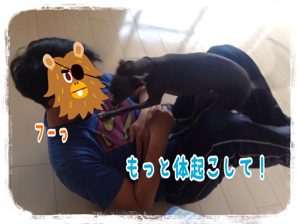 f:id:gino-ig:20160607231617j:image f:id:gino-ig:20160607231617j:image
