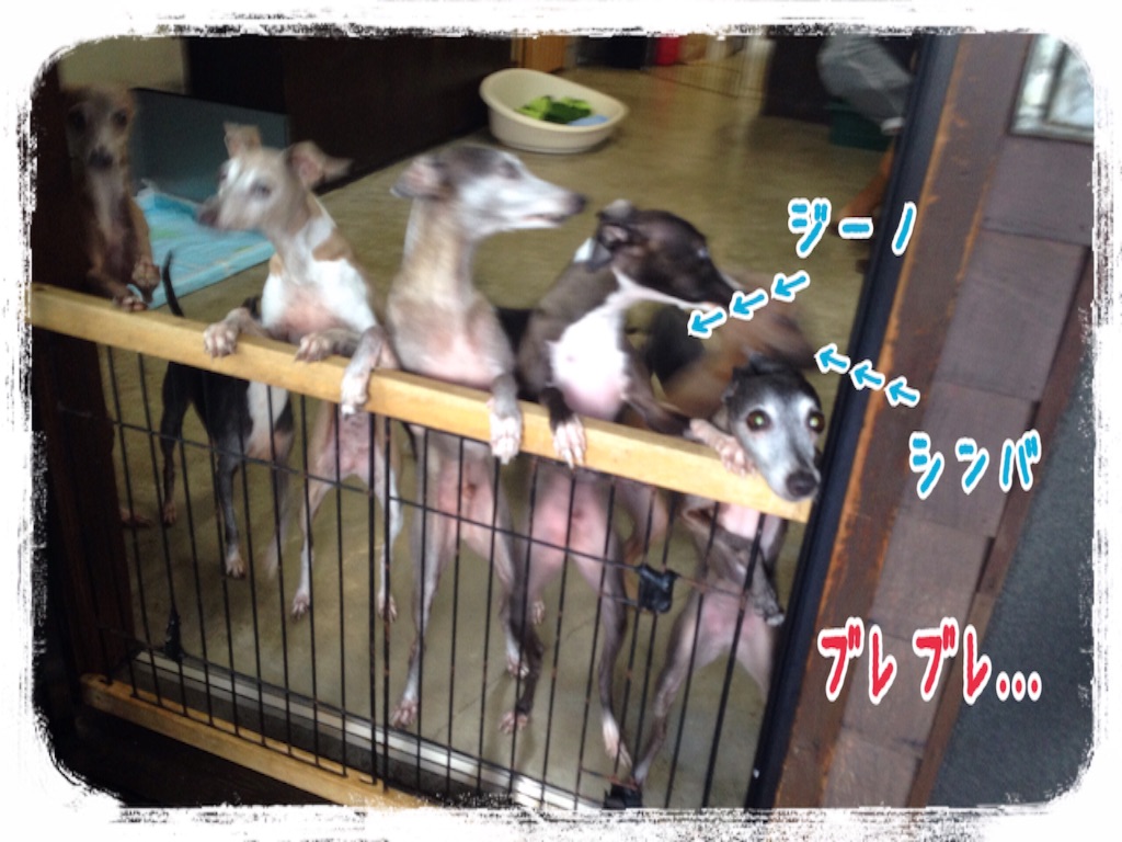 f:id:gino-ig:20160702232706j:image f:id:gino-ig:20160702232706j:image