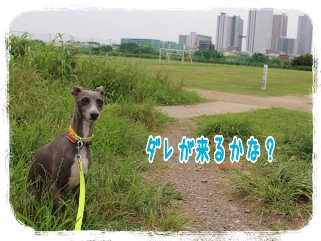 f:id:gino-ig:20160708232711j:image f:id:gino-ig:20160708232711j:image