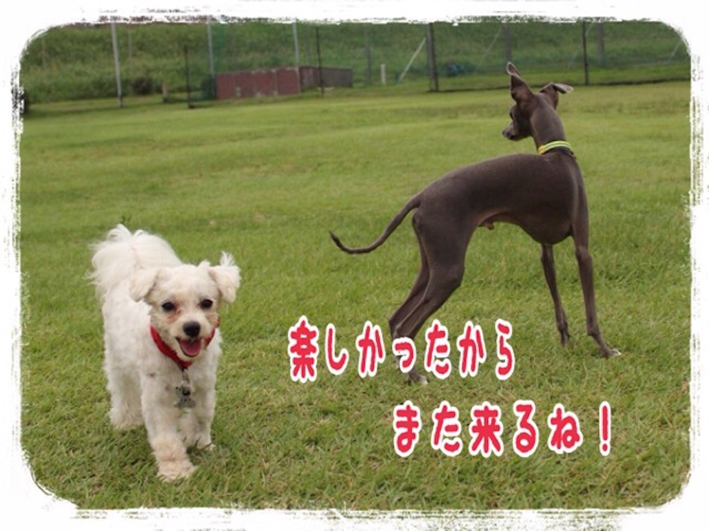 f:id:gino-ig:20160708233217j:image f:id:gino-ig:20160708233217j:image