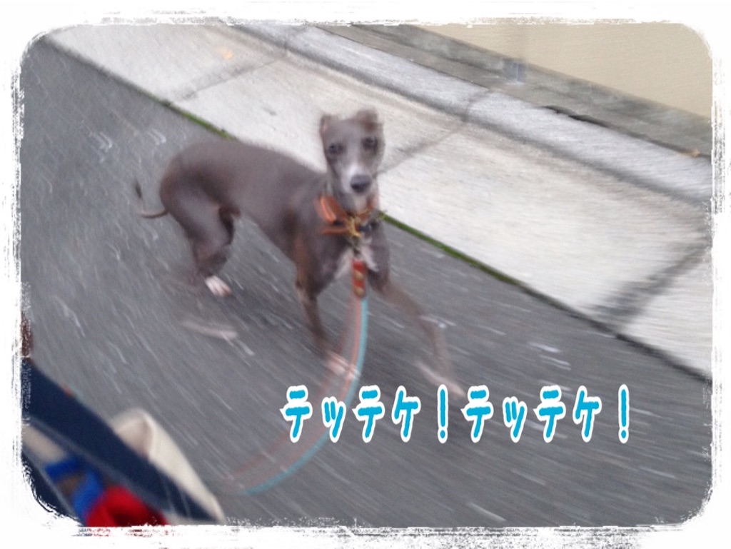 f:id:gino-ig:20160716232036j:image f:id:gino-ig:20160716232036j:image