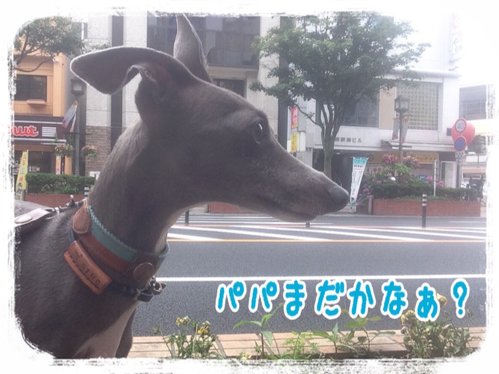 f:id:gino-ig:20160718002307j:image f:id:gino-ig:20160718002307j:image