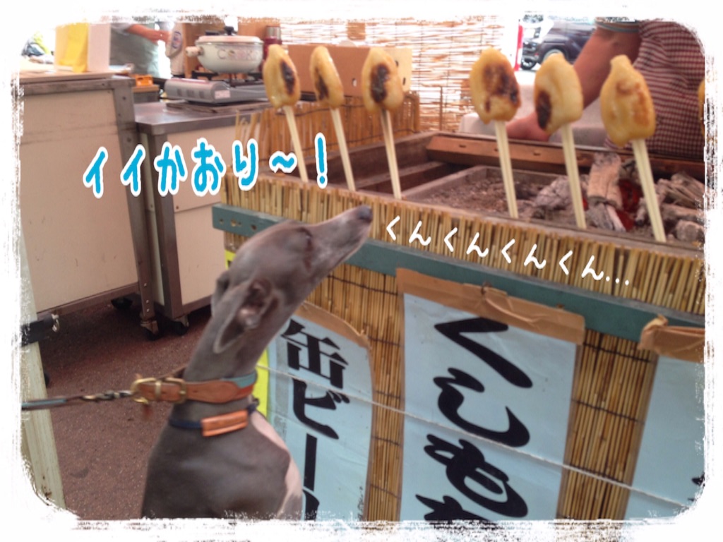 f:id:gino-ig:20160718002445j:image f:id:gino-ig:20160718002445j:image