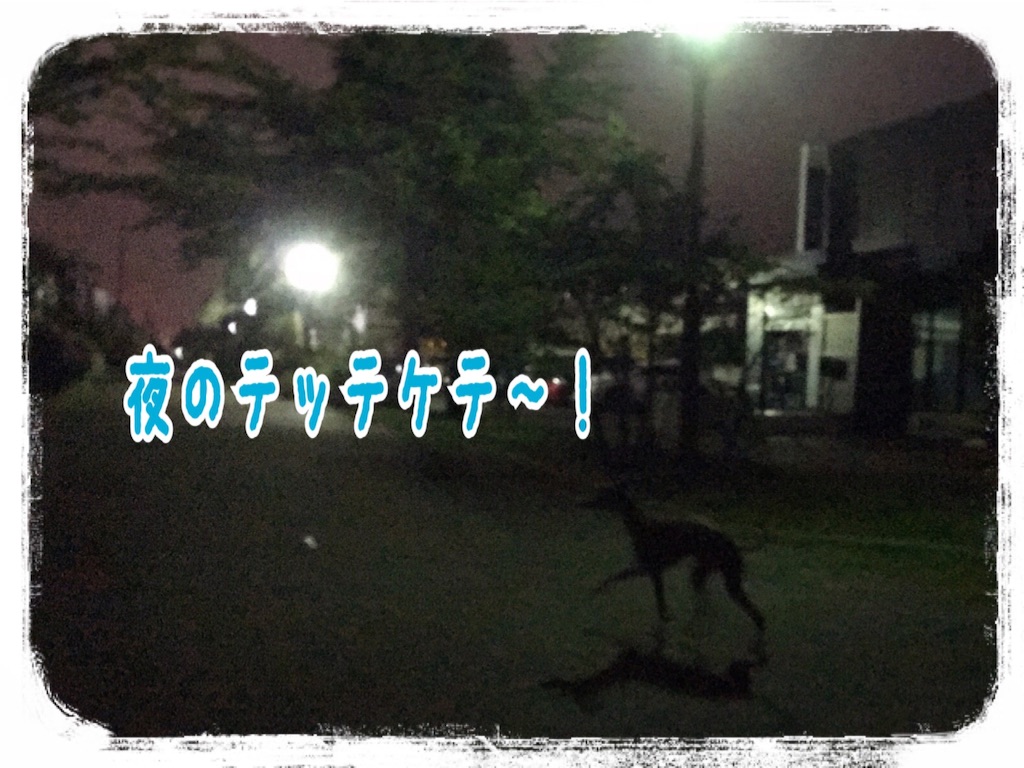 f:id:gino-ig:20160719002433j:image f:id:gino-ig:20160719002433j:image
