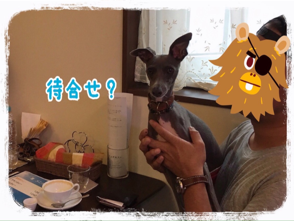 f:id:gino-ig:20160719005123j:image f:id:gino-ig:20160719005123j:image
