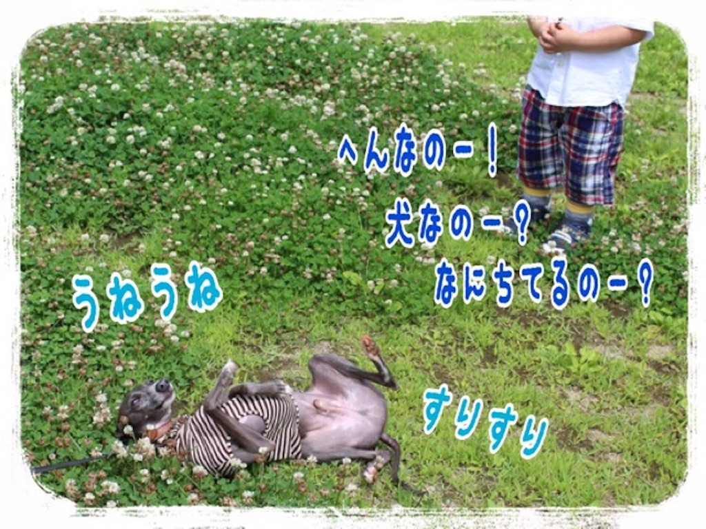 f:id:gino-ig:20160721002534j:image f:id:gino-ig:20160721002534j:image