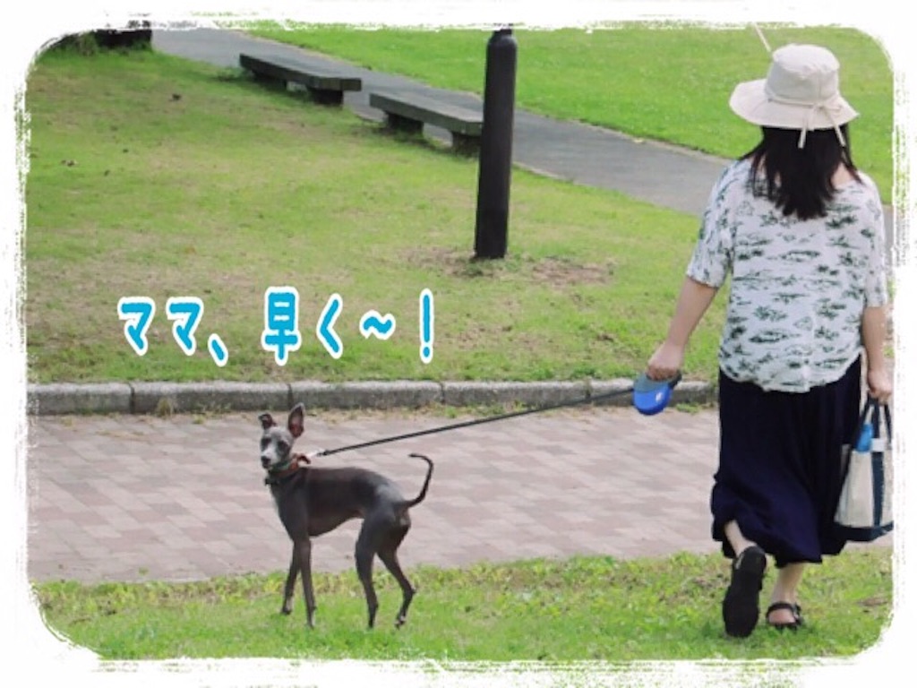 f:id:gino-ig:20160722000712j:image f:id:gino-ig:20160722000712j:image