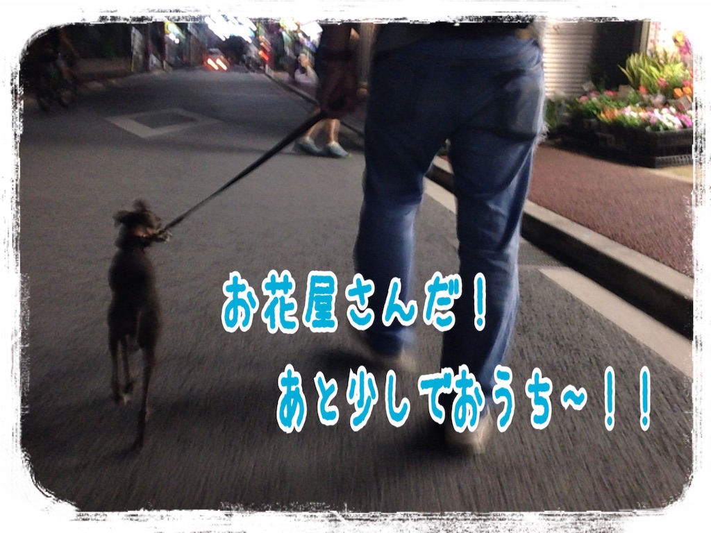 f:id:gino-ig:20160722001338j:image f:id:gino-ig:20160722001338j:image