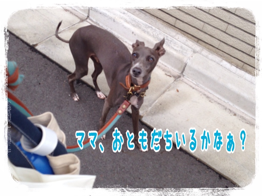 f:id:gino-ig:20160723000530j:image f:id:gino-ig:20160723000530j:image