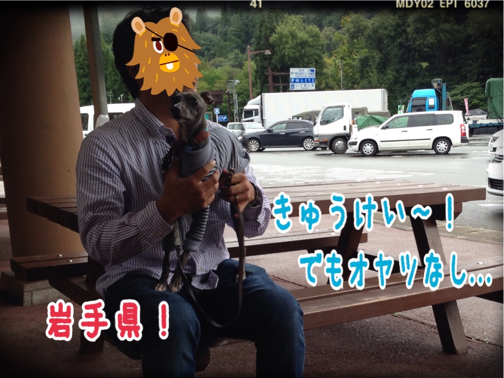 f:id:gino-ig:20160728011154j:image f:id:gino-ig:20160728011154j:image