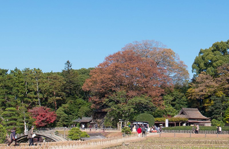 f:id:giraffyk1:20141129112257j:plain