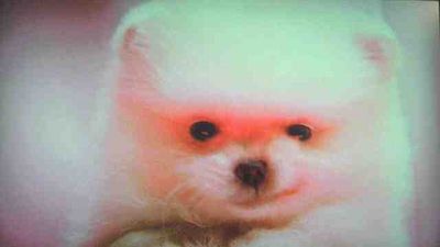 f:id:giriholiday30:20160316201801j:plain f:id:giriholiday30:20160316201801j:plain