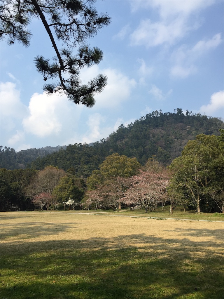 f:id:gk24nooops:20160606001045j:image f:id:gk24nooops:20160606001045j:image