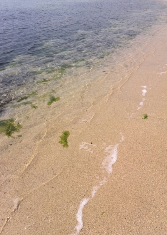 f:id:gkoroko:20150622055654j:plain