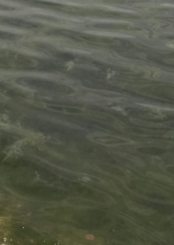 f:id:gkoroko:20150622055823j:plain