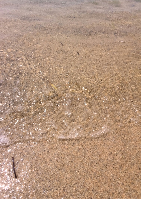 f:id:gkoroko:20150622060643j:plain