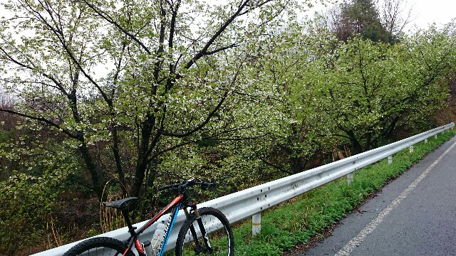 f:id:go-tuka:20150405201432j:image f:id:go-tuka:20150405201432j:image