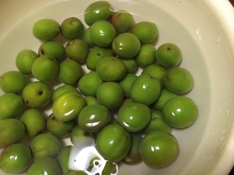 f:id:go-yatan:20160523183448j:plain f:id:go-yatan:20160523183448j:plain