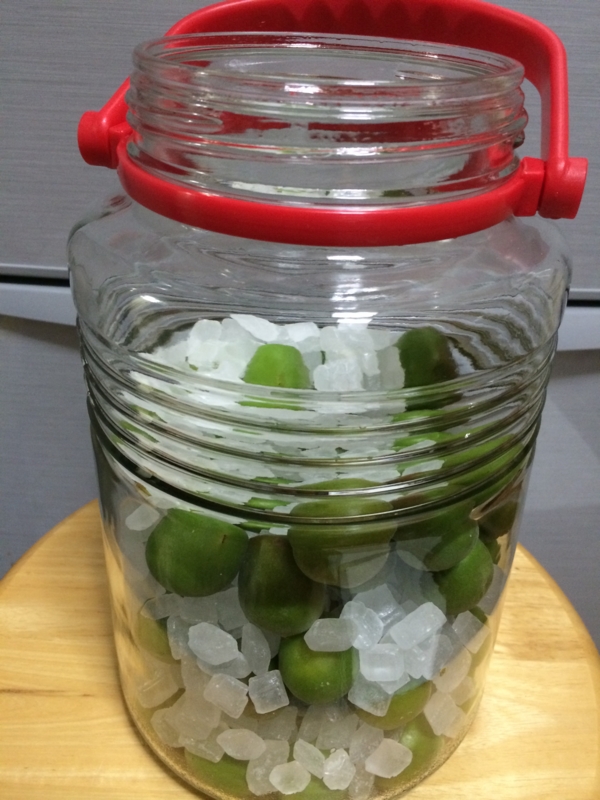 f:id:go-yatan:20160523183449j:plain f:id:go-yatan:20160523183449j:plain