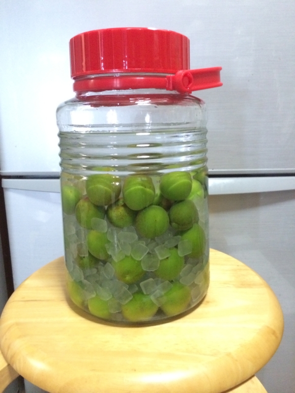 f:id:go-yatan:20160523183450j:plain f:id:go-yatan:20160523183450j:plain