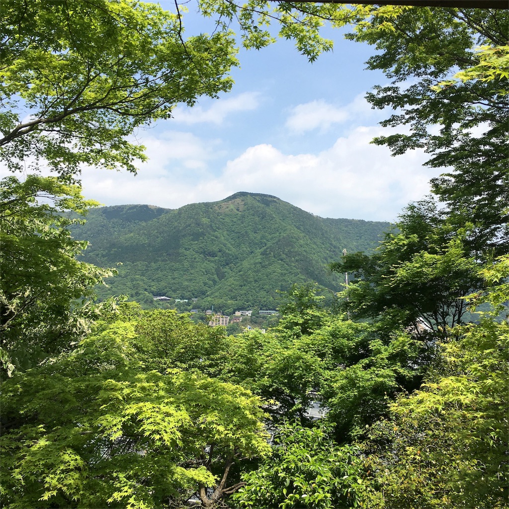 f:id:gohan8salmon:20160514155330j:image f:id:gohan8salmon:20160514155330j:image
