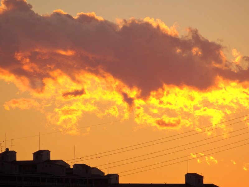 f:id:goisan:20150110164652j:plain f:id:goisan:20150110164652j:plain