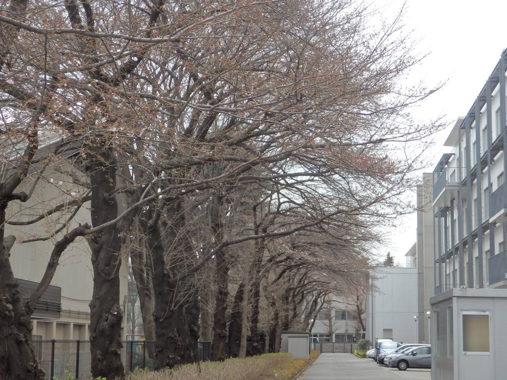 f:id:goisan:20160323114529j:plain f:id:goisan:20160323114529j:plain