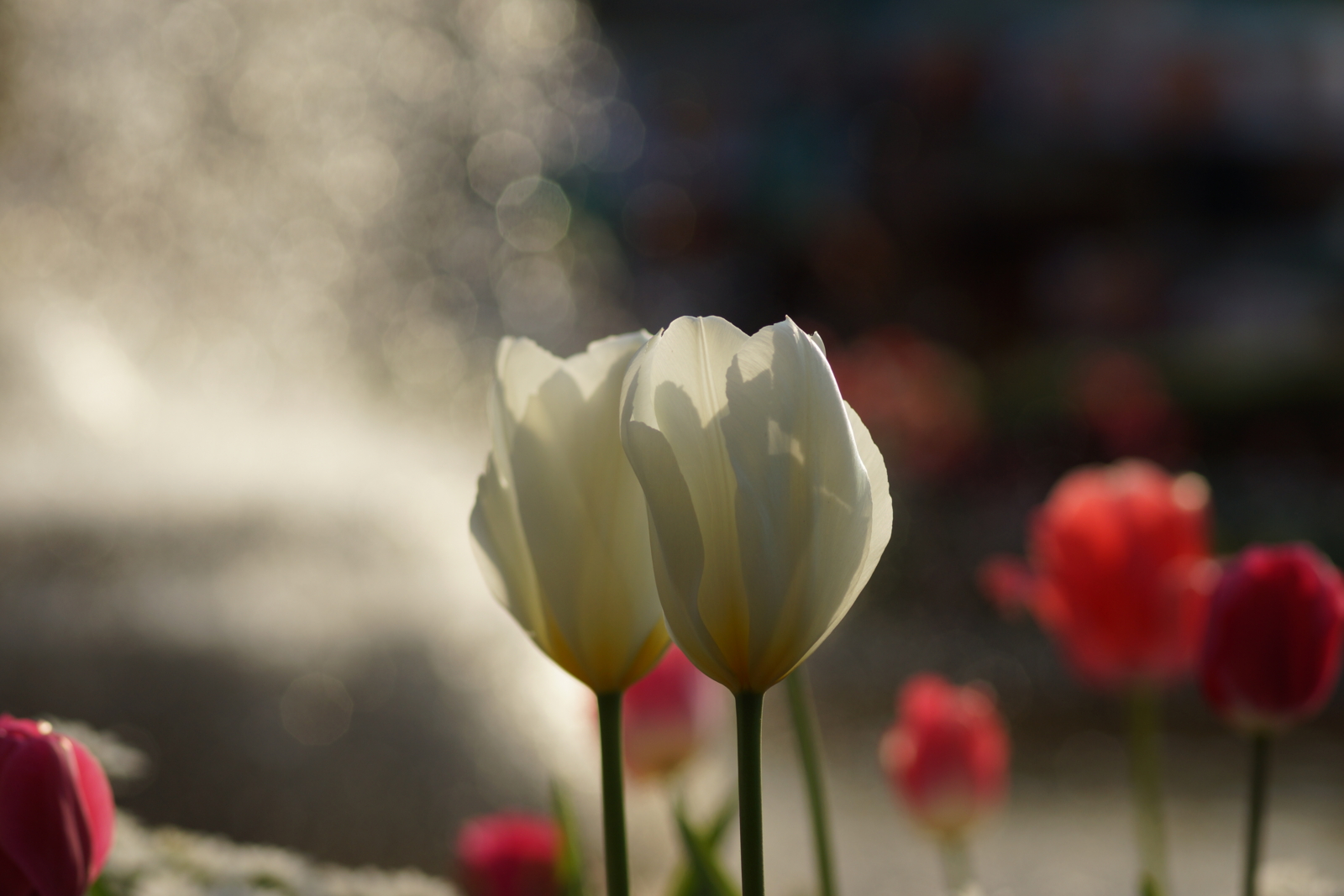 f:id:goldhead:20140412201321j:plain f:id:goldhead:20140412201321j:plain