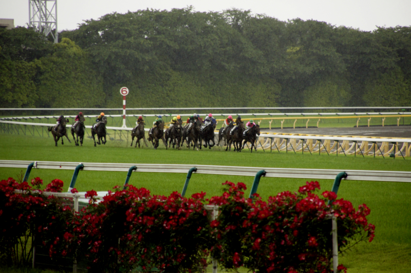 f:id:goldhead:20140916130356j:plain f:id:goldhead:20140916130356j:plain