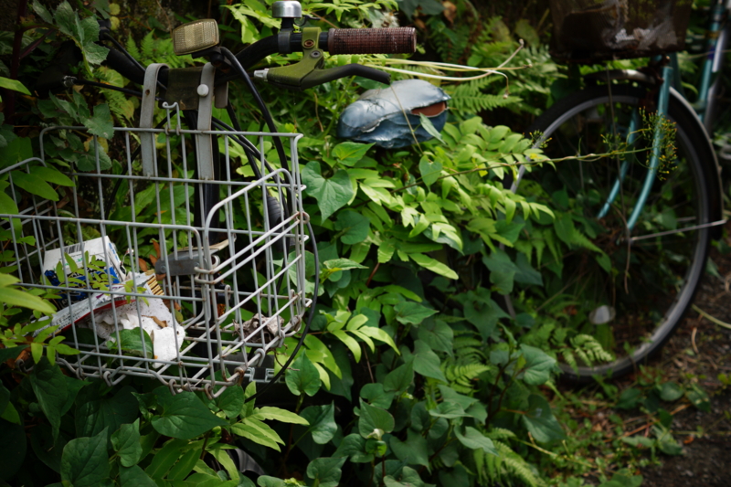 f:id:goldhead:20150506181908j:plain f:id:goldhead:20150506181908j:plain