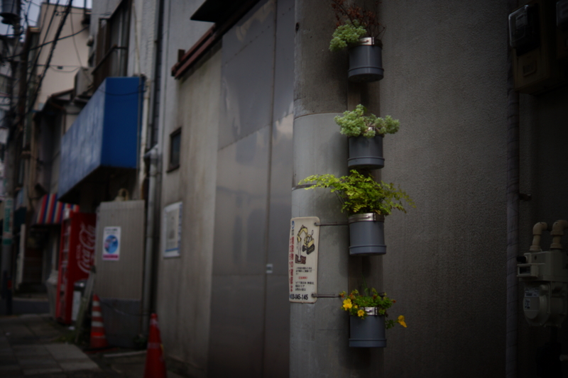 f:id:goldhead:20150506181920j:plain f:id:goldhead:20150506181920j:plain