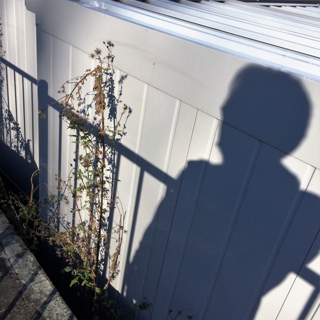 f:id:goldhead:20151221211347j:plain f:id:goldhead:20151221211347j:plain