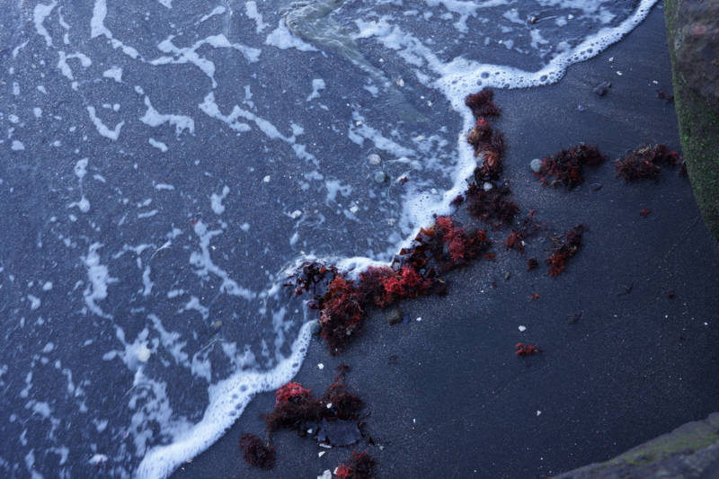 f:id:goldhead:20160109195733j:plain f:id:goldhead:20160109195733j:plain